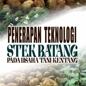 PENERAPAN TEKNOLOGI STEK BATANG PADA USAHATANI KENTANG