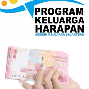 PROGRAM KELUARGA HARAPAN MERAIH KELUARGA SEJAHTERA