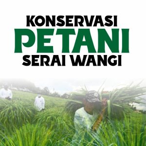 KONSERVASI PETANI SERAI WANGI