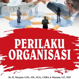 PERILAKU ORGANISASI