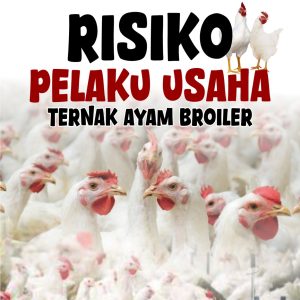 RISIKO PELAKU  USAHA TERNAK AYAM BROILER