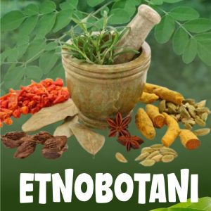 ETNOBOTANI