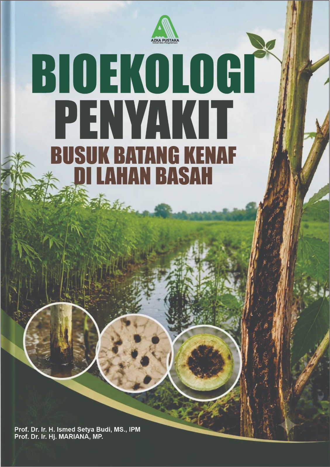 BIOEKOLOGI PENYAKIT BUSUK BATANG KENAF DI LAHAN BASAH